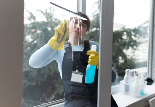 Nettoyage de vitres intérieures et extérieures à Saulzet